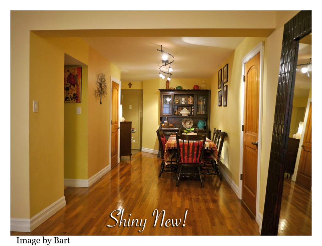 Stunning Two bedroom coop Forest Park, Woodhaven Woodhaven Coops