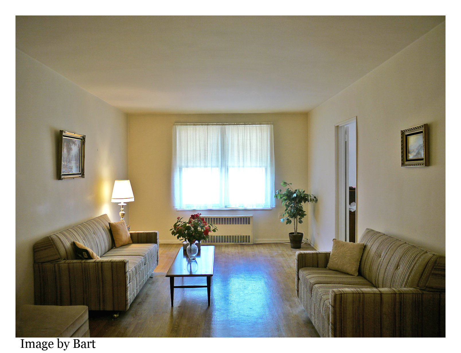 JR 4 two bedroom coop Forest Park, Woodhaven Woodhaven Coops for