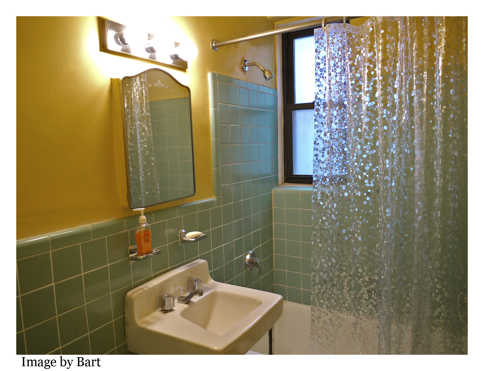 JR 4 two bedroom coop Forest Park, Woodhaven Woodhaven Coops for