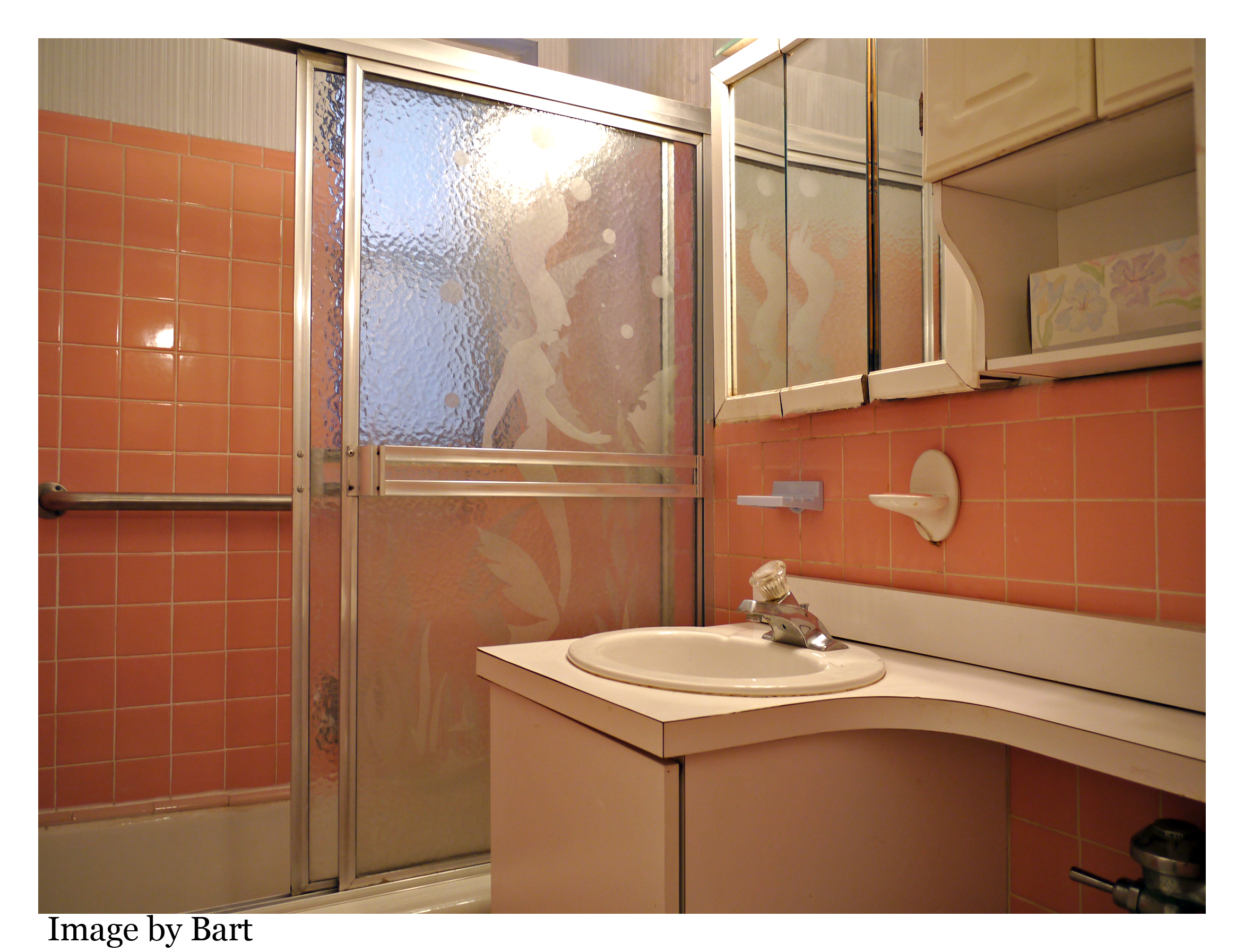 JR 4 two bedroom coop Forest Park, Woodhaven Woodhaven Coops for