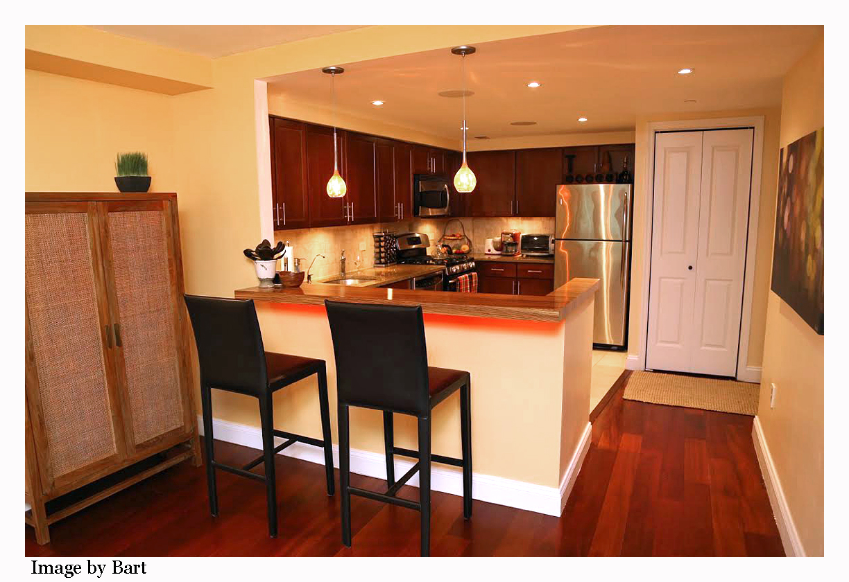 One bedroom condo for sale in Briarwood Queens Briarwood Condo