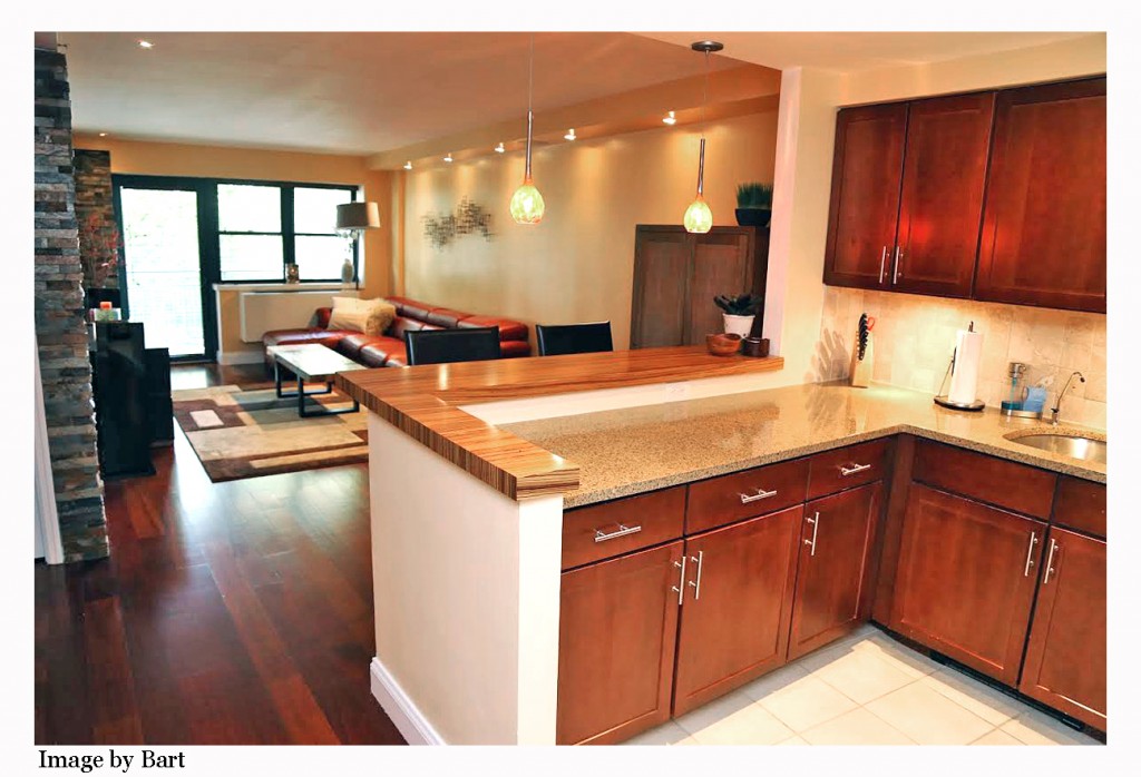 One bedroom condo for sale in Briarwood Queens Briarwood Condo