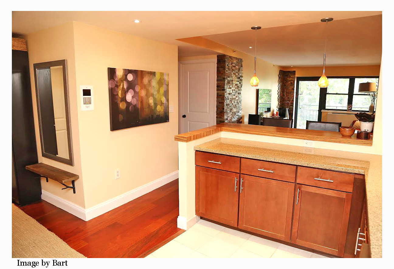 One bedroom condo for sale in Briarwood Queens Briarwood Condo