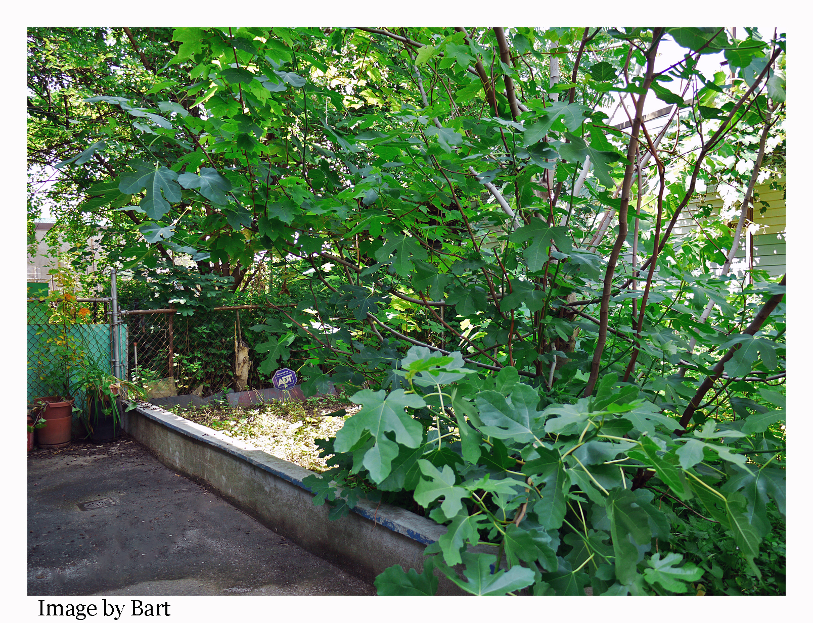 Four Family home for sale in Ridgewood Queens Ridgewood Queens