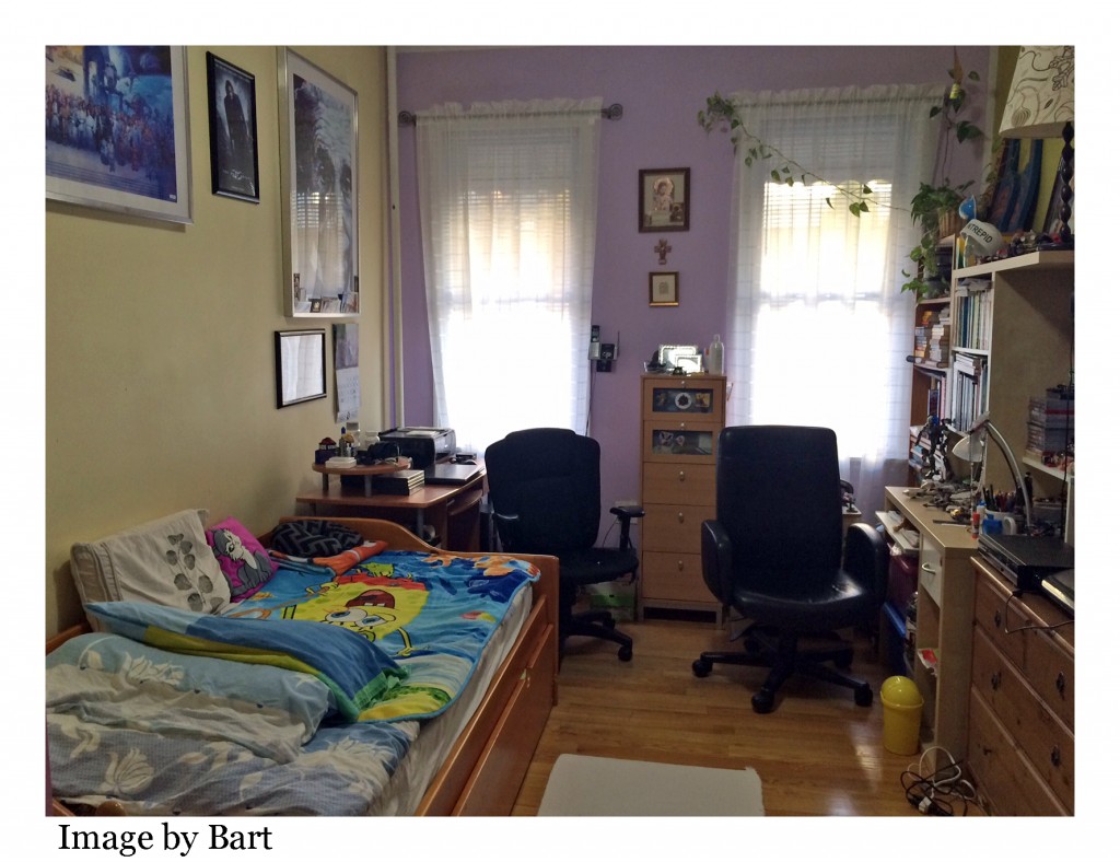 Six Family home for sale in Ridgewood Queens Ridgewood Queens