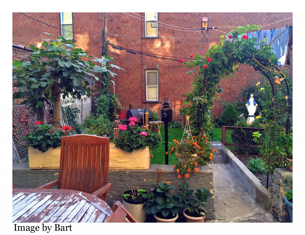 Six Family home for sale in Ridgewood Queens Ridgewood Queens