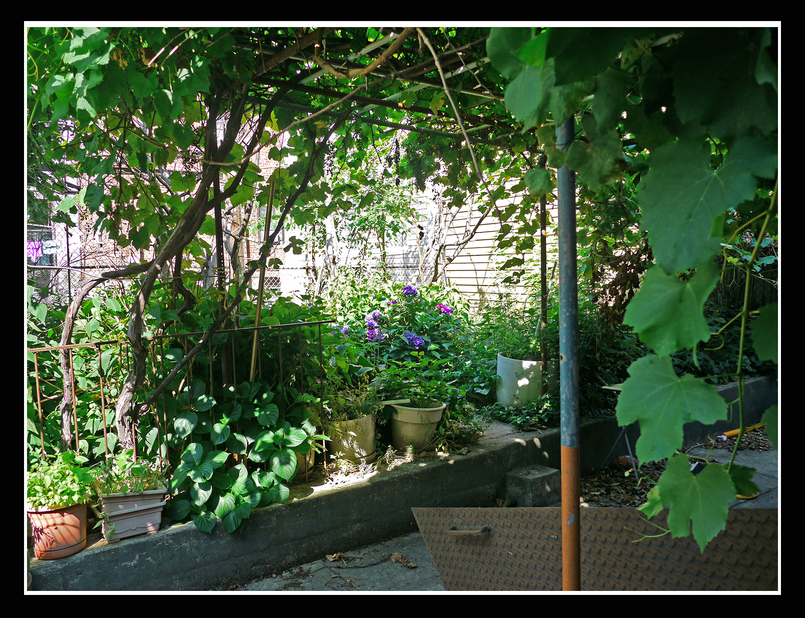 Multifamily home for sale in Ridgewood Queens Ridgewood Queens