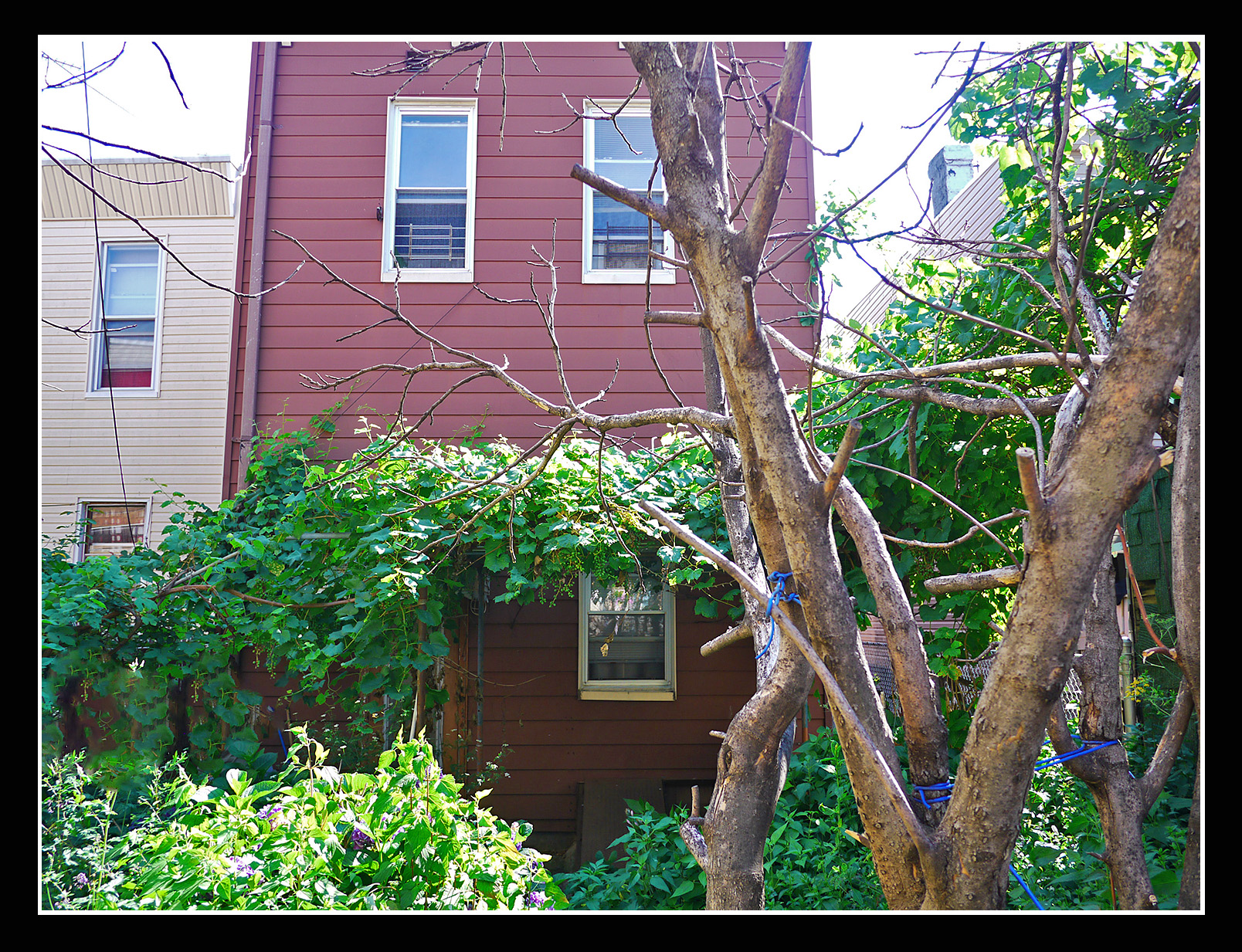 Multifamily home for sale in Ridgewood Queens Ridgewood Queens