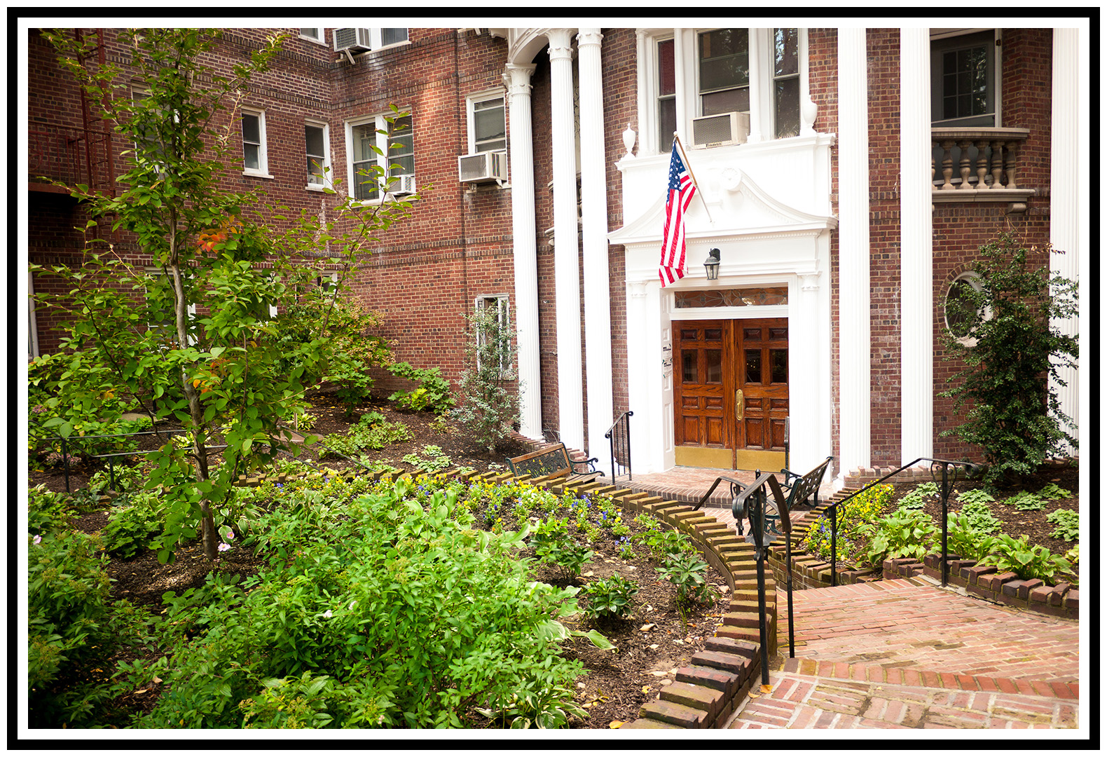 Coop in Kew Gardens • Sold by Bart