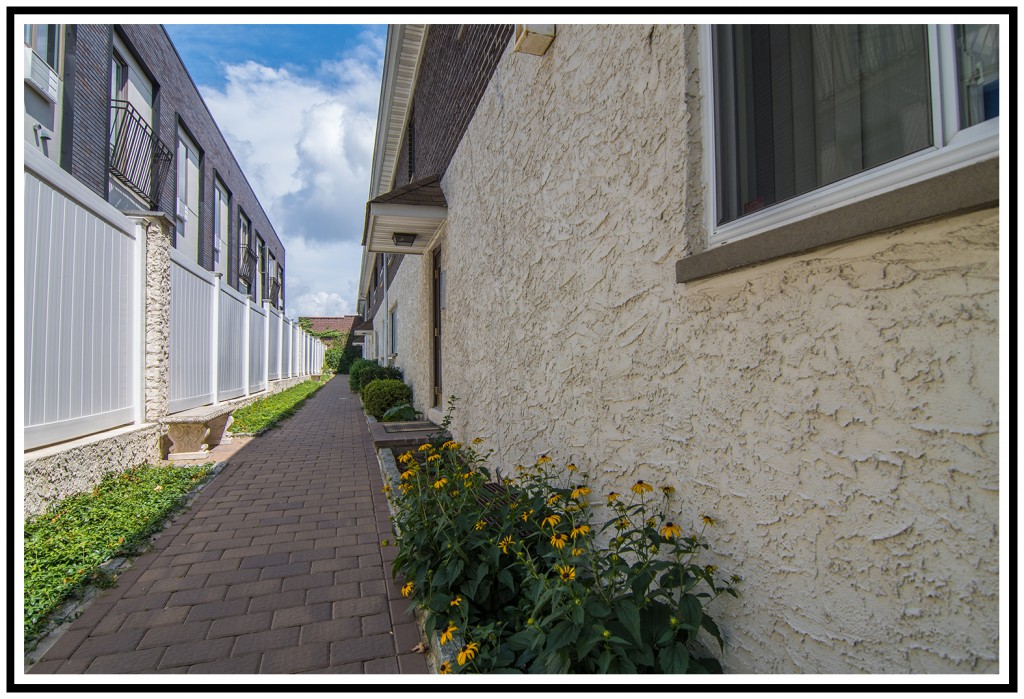 Middle Village Condo Rental • Sold by Bart