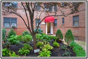 One Bedroom Co-op Forest Hills