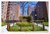 One Bedroom Coop in Forest Hills