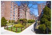 One Bedroom Coop in Forest Hills