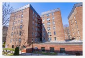 One Bedroom Coop in Forest Hills