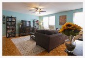 One Bedroom Coop in Forest Hills