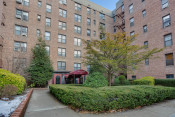 Spacious One Bedroom Co-op in Forest Park
