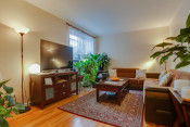 Modern One Bedroom Co-op in Forest Park